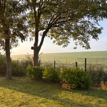 Luettje Koje - Direkt Am Deich Und Dem Dahinter Prázdninový dům
